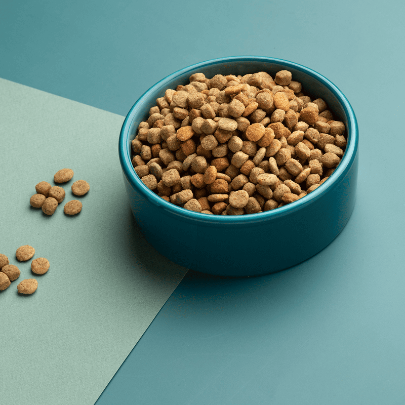 Premium Chicken Kibble (5kg)