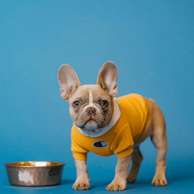 Beef & Rice Puppy Formula
