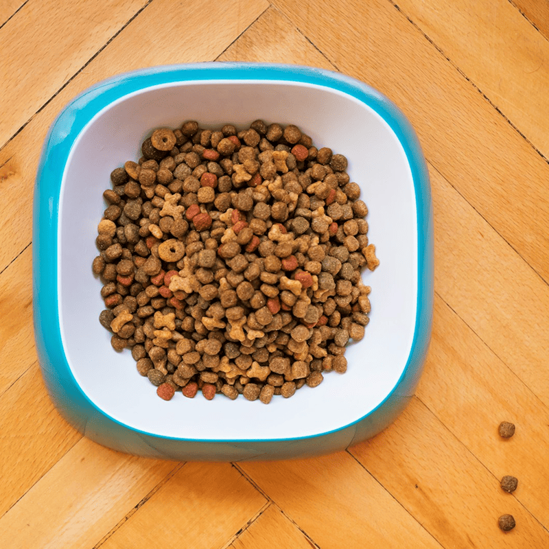 Beef & Rice Puppy Formula