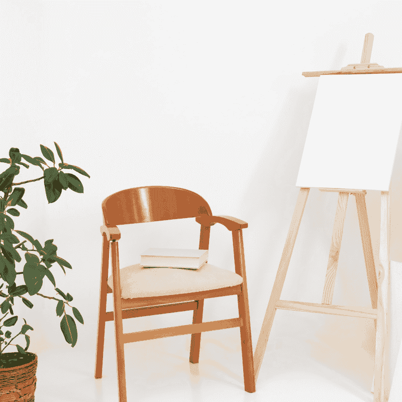 Elegant Dining Chair Set (Set of 2)