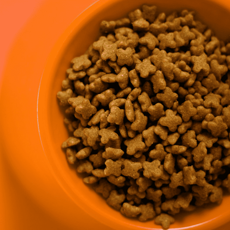 Chicken & Milk Kitten Bites (1kg)
