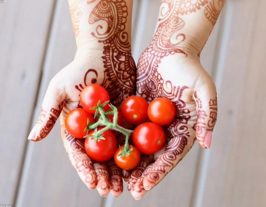 Organic Tomato