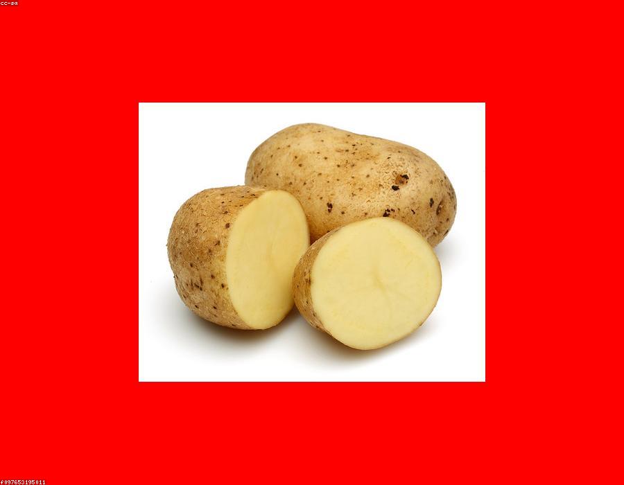 Fresh Potato
