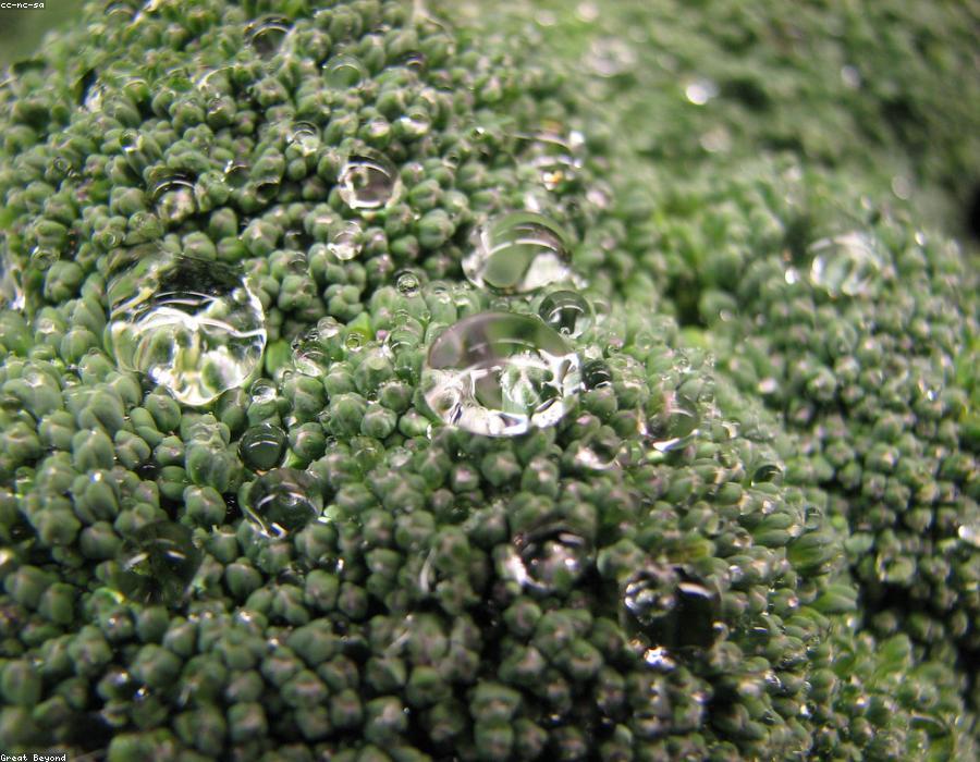 Green Broccoli