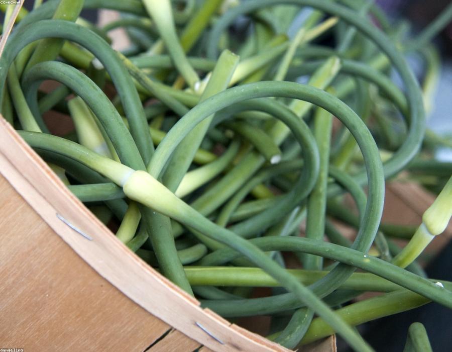 Green Beans