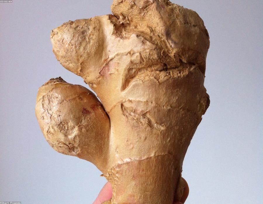 Organic Ginger