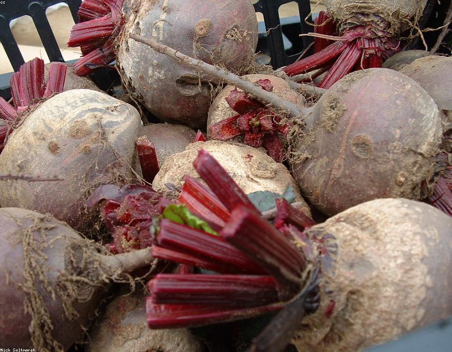 Fresh Beetroot