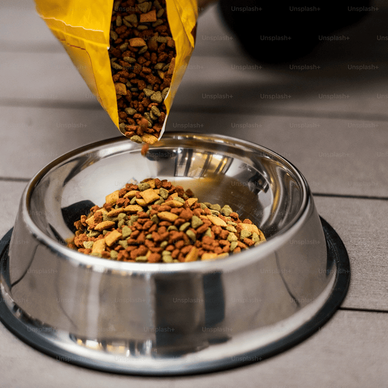 Beef & Rice Puppy Formula