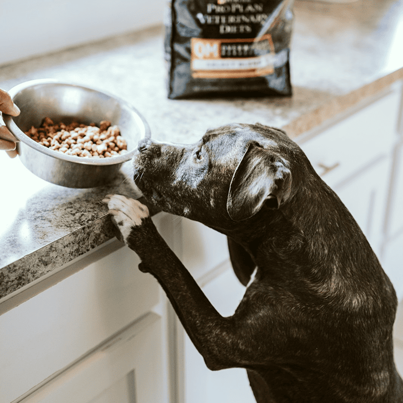 Beef & Rice Puppy Formula