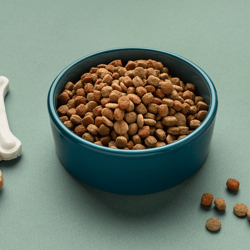 Premium Chicken Kibble (5kg)