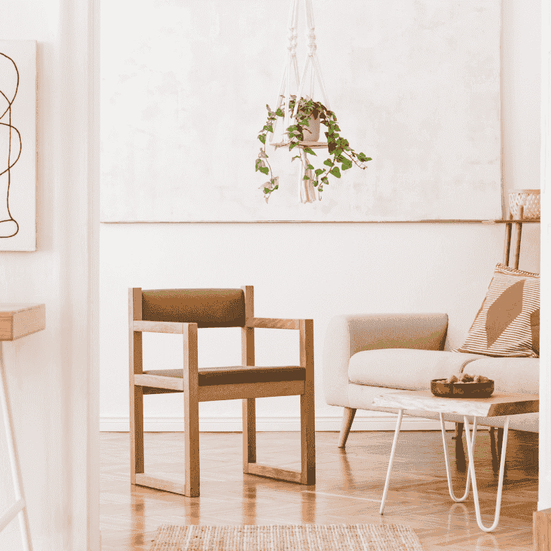 Elegant Dining Chair Set (Set of 2)