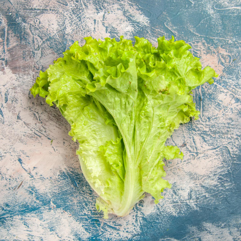Fresh Crisp Lettuce – Organic, Nutrient-Packed & Refreshing Green
