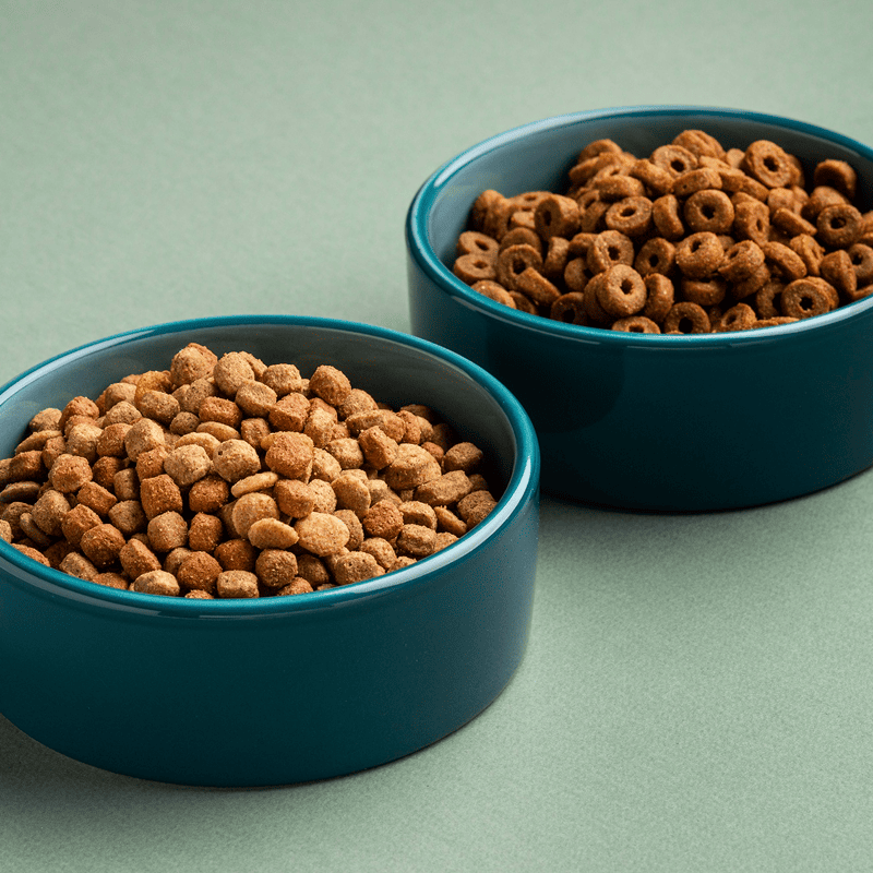 Premium Chicken Kibble (5kg)