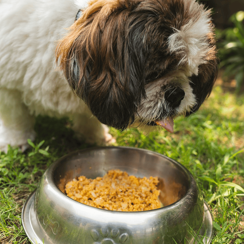 Beef & Rice Puppy Formula